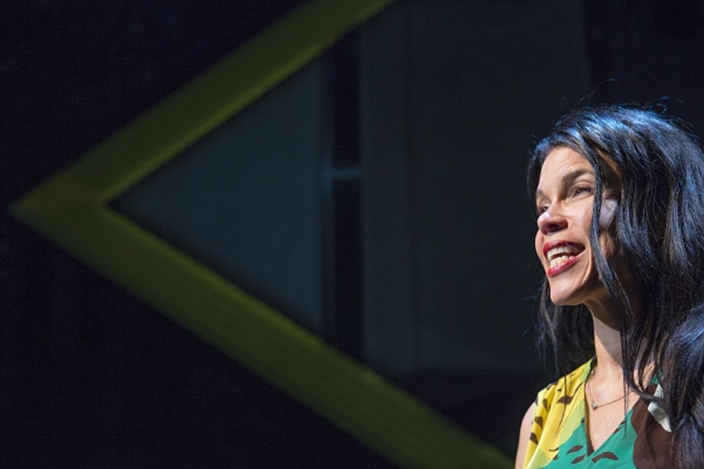 Photo Flash: First Look at Debra Ehrhardt in JAMAICA FAREWELL at the Royal George Theatre  Image