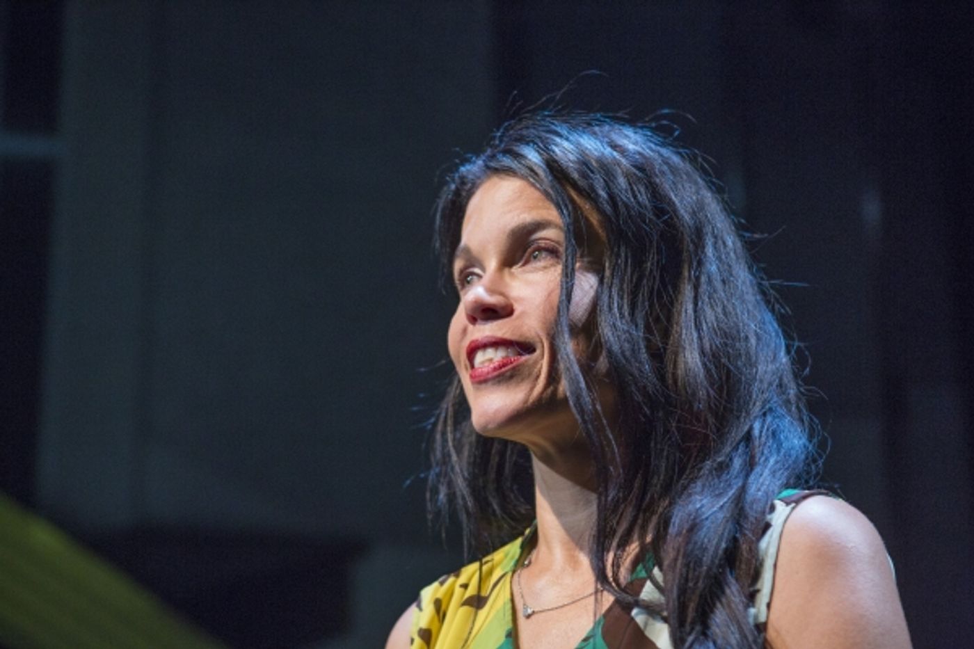 Photo Flash: First Look at Debra Ehrhardt in JAMAICA FAREWELL at the Royal George Theatre  Image