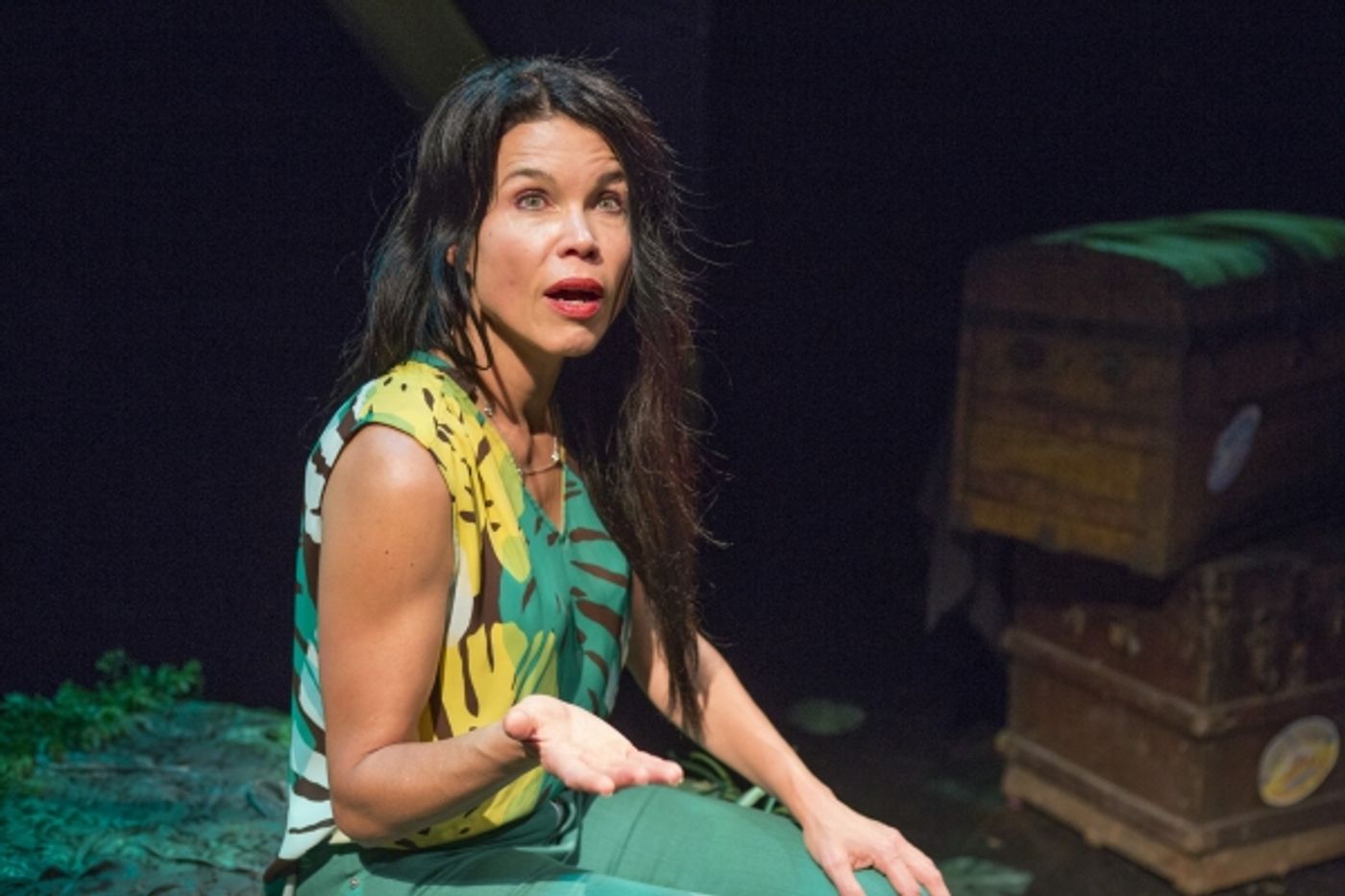 Photo Flash: First Look at Debra Ehrhardt in JAMAICA FAREWELL at the Royal George Theatre  Image