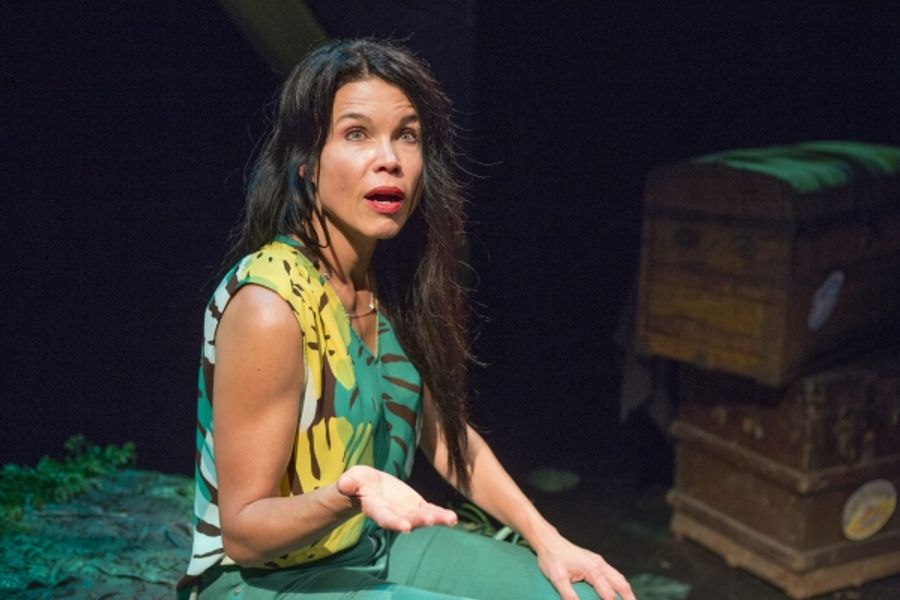 Photo Flash: First Look at Debra Ehrhardt in JAMAICA FAREWELL at the Royal George Theatre Image
