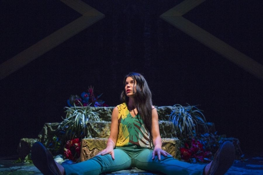 Photo Flash: First Look at Debra Ehrhardt in JAMAICA FAREWELL at the Royal George Theatre Image