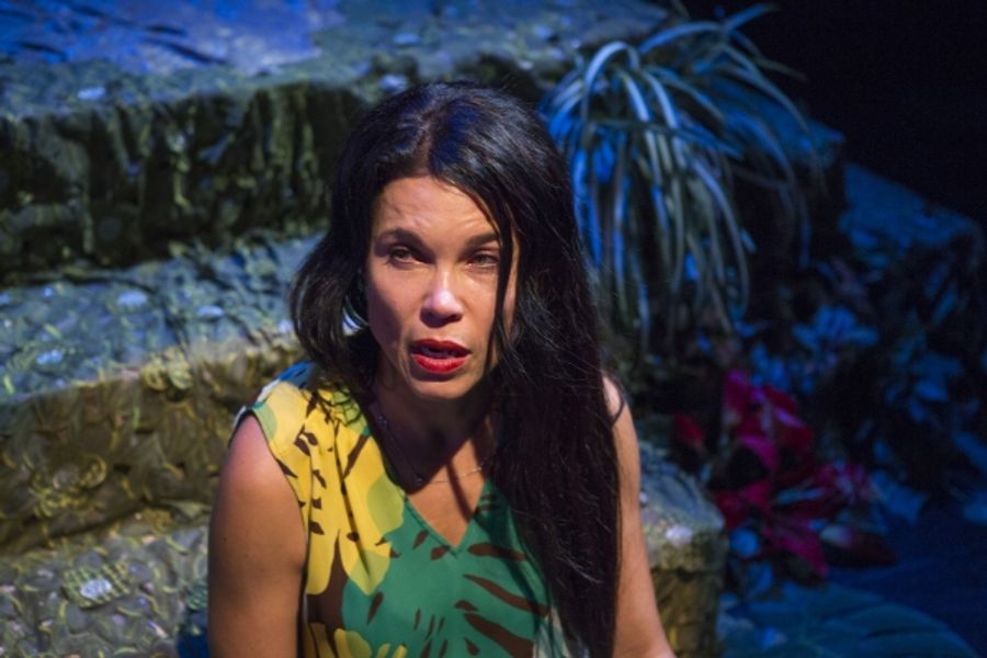 Photo Flash: First Look at Debra Ehrhardt in JAMAICA FAREWELL at the Royal George Theatre Image