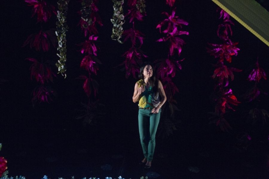 Photo Flash: First Look at Debra Ehrhardt in JAMAICA FAREWELL at the Royal George Theatre Image