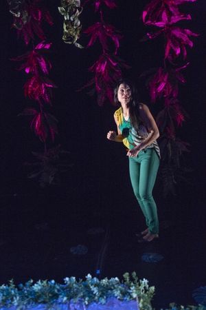 Debra Ehrhardt Photo