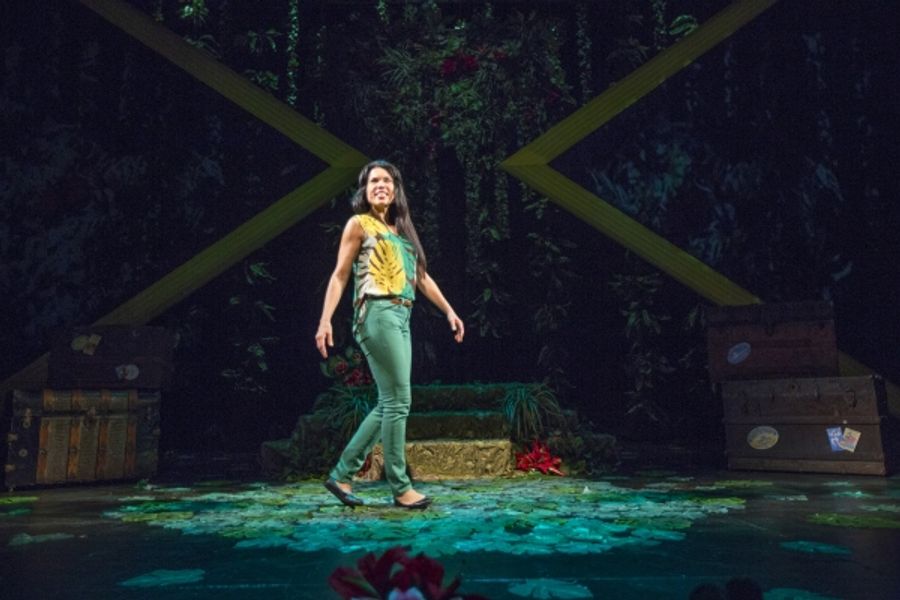 Photo Flash: First Look at Debra Ehrhardt in JAMAICA FAREWELL at the Royal George Theatre Image