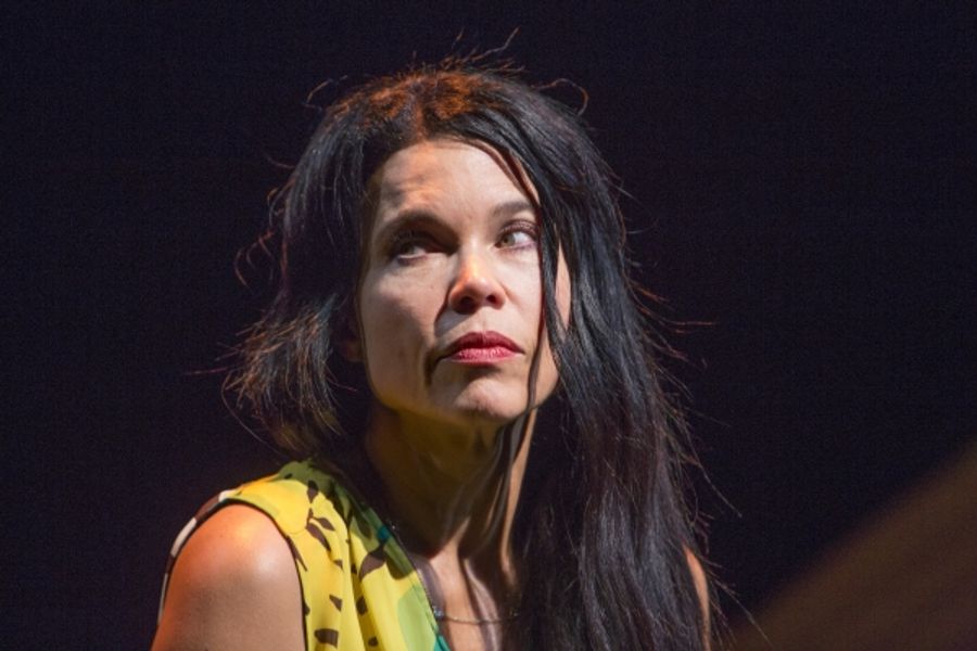 Photo Flash: First Look at Debra Ehrhardt in JAMAICA FAREWELL at the Royal George Theatre Image