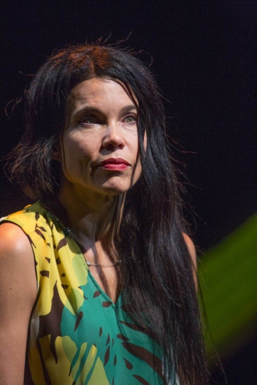 Photo Flash: First Look at Debra Ehrhardt in JAMAICA FAREWELL at the Royal George Theatre Image