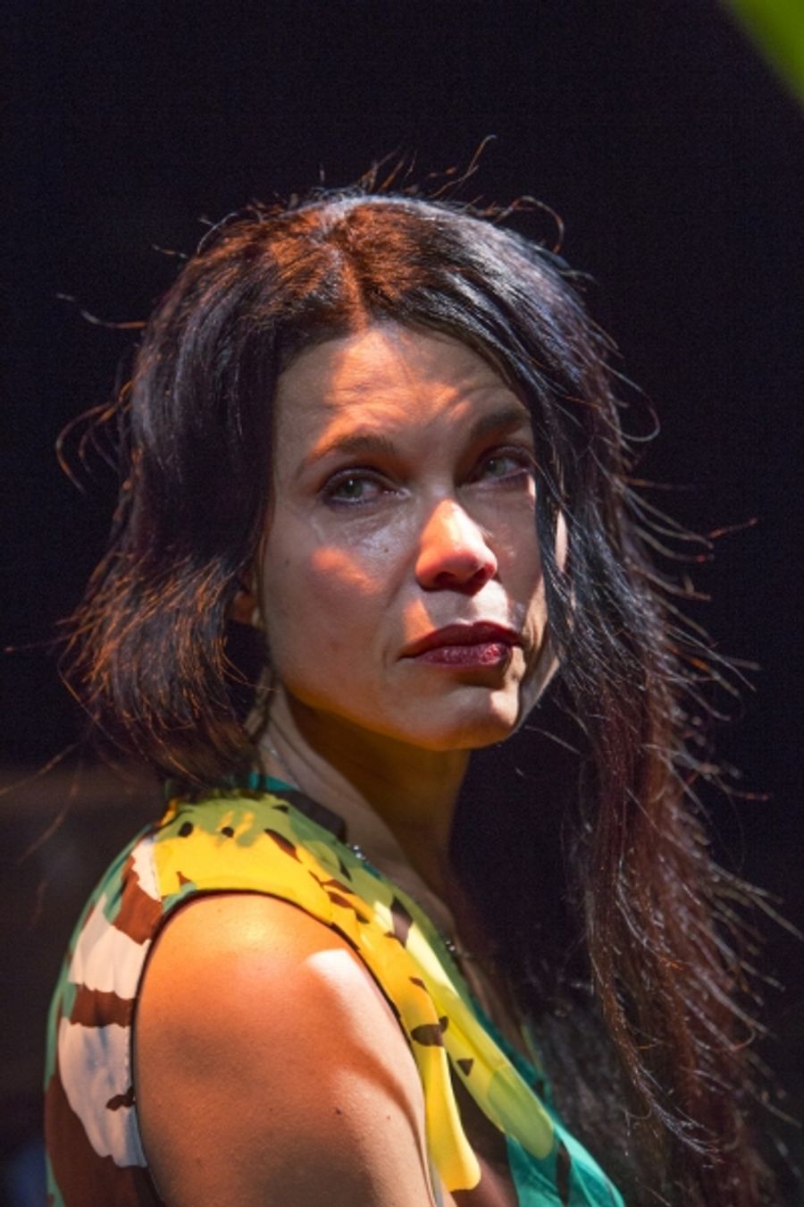 Photo Flash: First Look at Debra Ehrhardt in JAMAICA FAREWELL at the Royal George Theatre Image