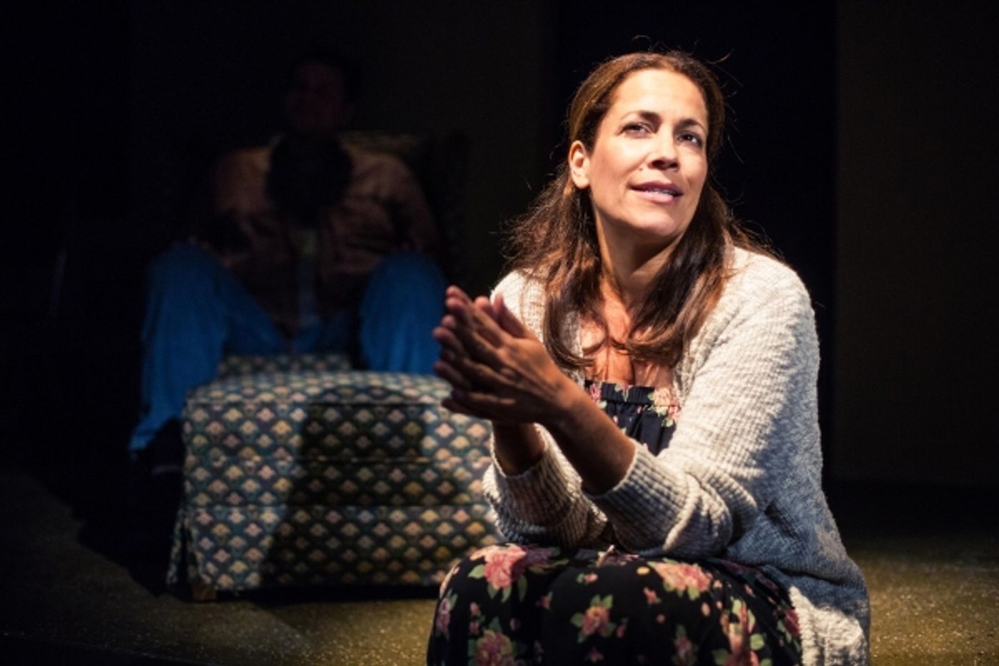 Photo Flash: First Look at Echo Theater's West Coast Premiere of AMERICAN FALLS  Image