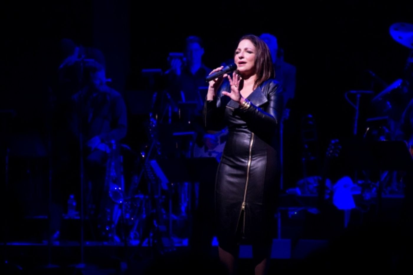 Photo Coverage: Gloria Estefan & ON YOUR FEET! Gang Throw Concert to Benefit Viva Broadway!  Image