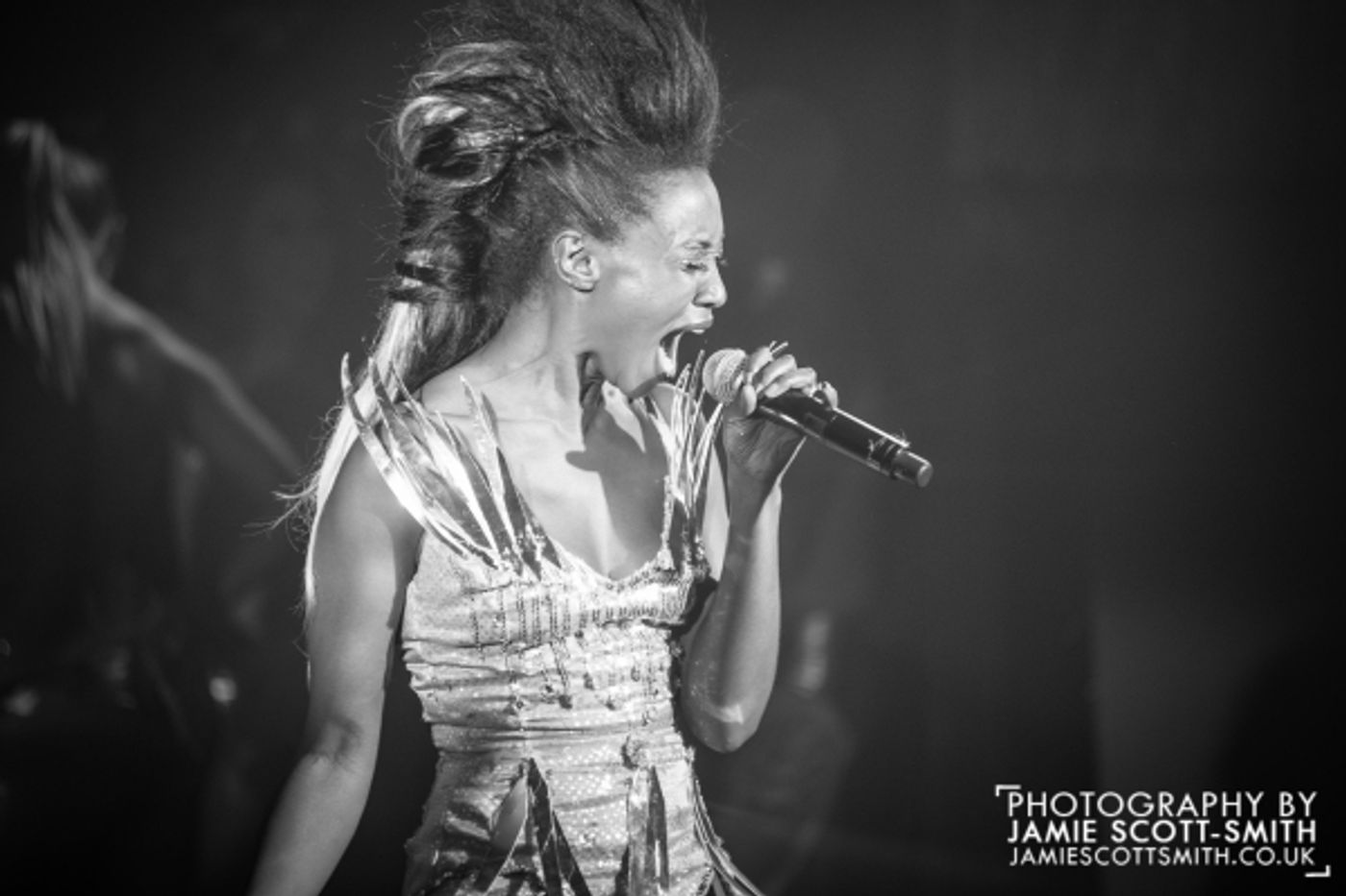 Photo Coverage: WEST END BARES 2015 - 'TAKE OFF' Featuring Graham Norton, Michelle Visage, Beverley Knight And More!  Image