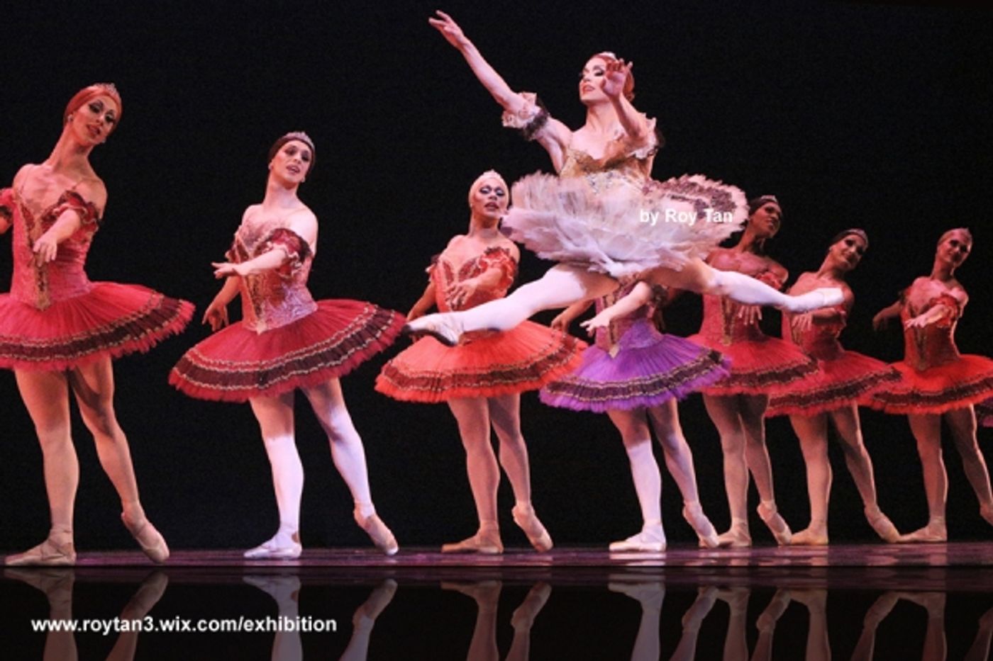Photo Flash: First Look at Sadler's Well's LES BALLETS TROCKADERO DE MONTE CARLO  Image