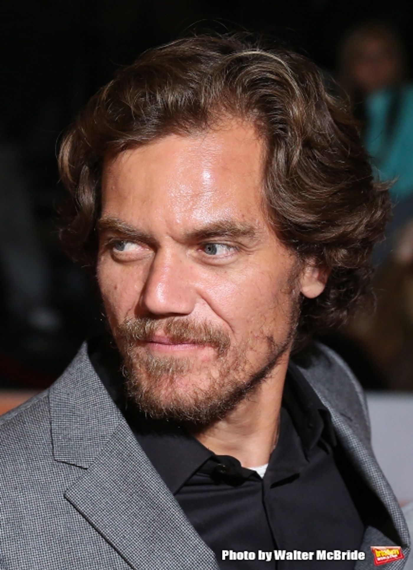 Photo Coverage: On the Red Carpet at TIFF: FREEHELD Photo Coverage: On the Red Carpet at TIFF: FREEHELD Image