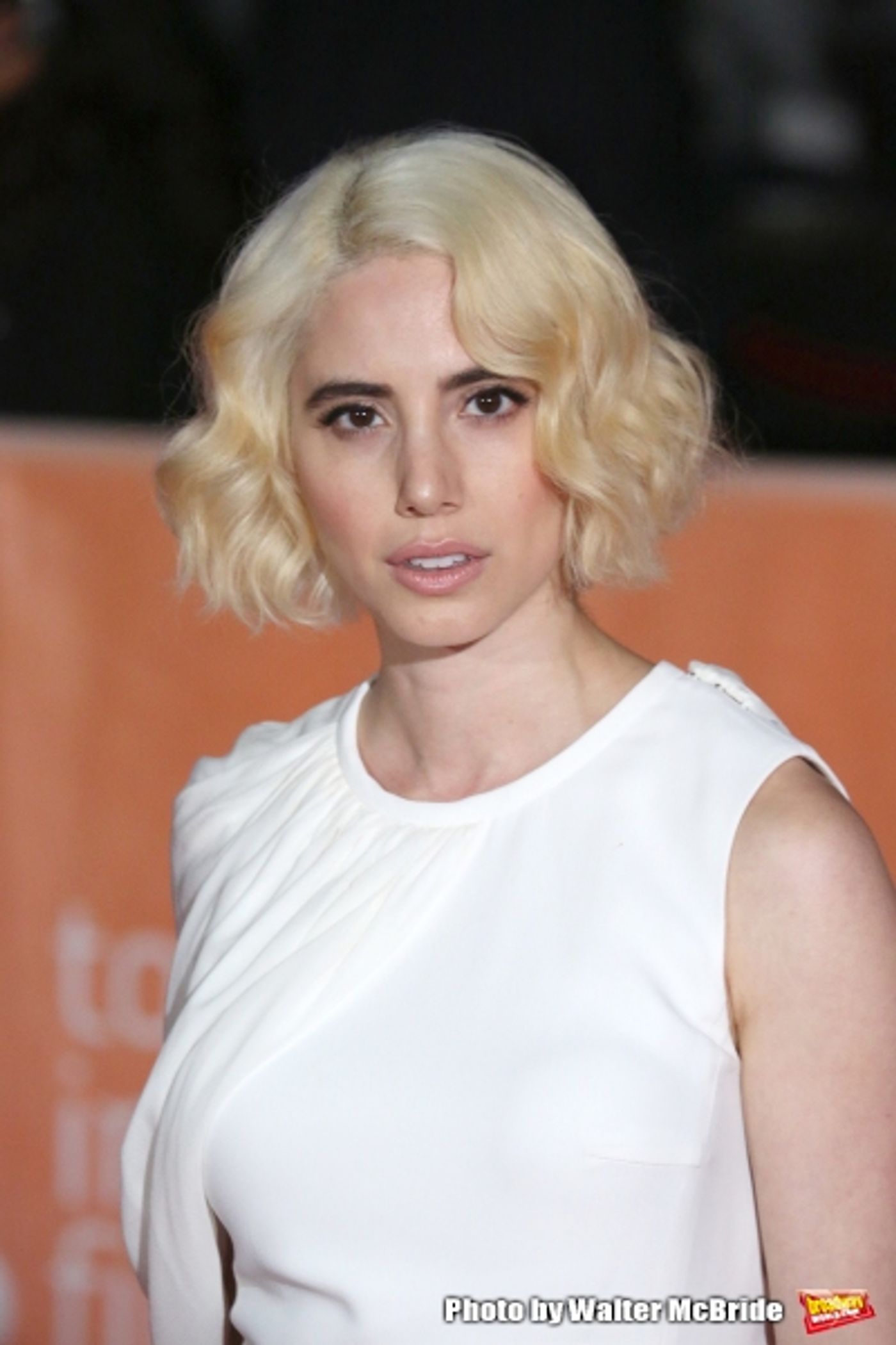 Photo Coverage: On the Red Carpet at TIFF: FREEHELD Photo Coverage: On the Red Carpet at TIFF: FREEHELD Image