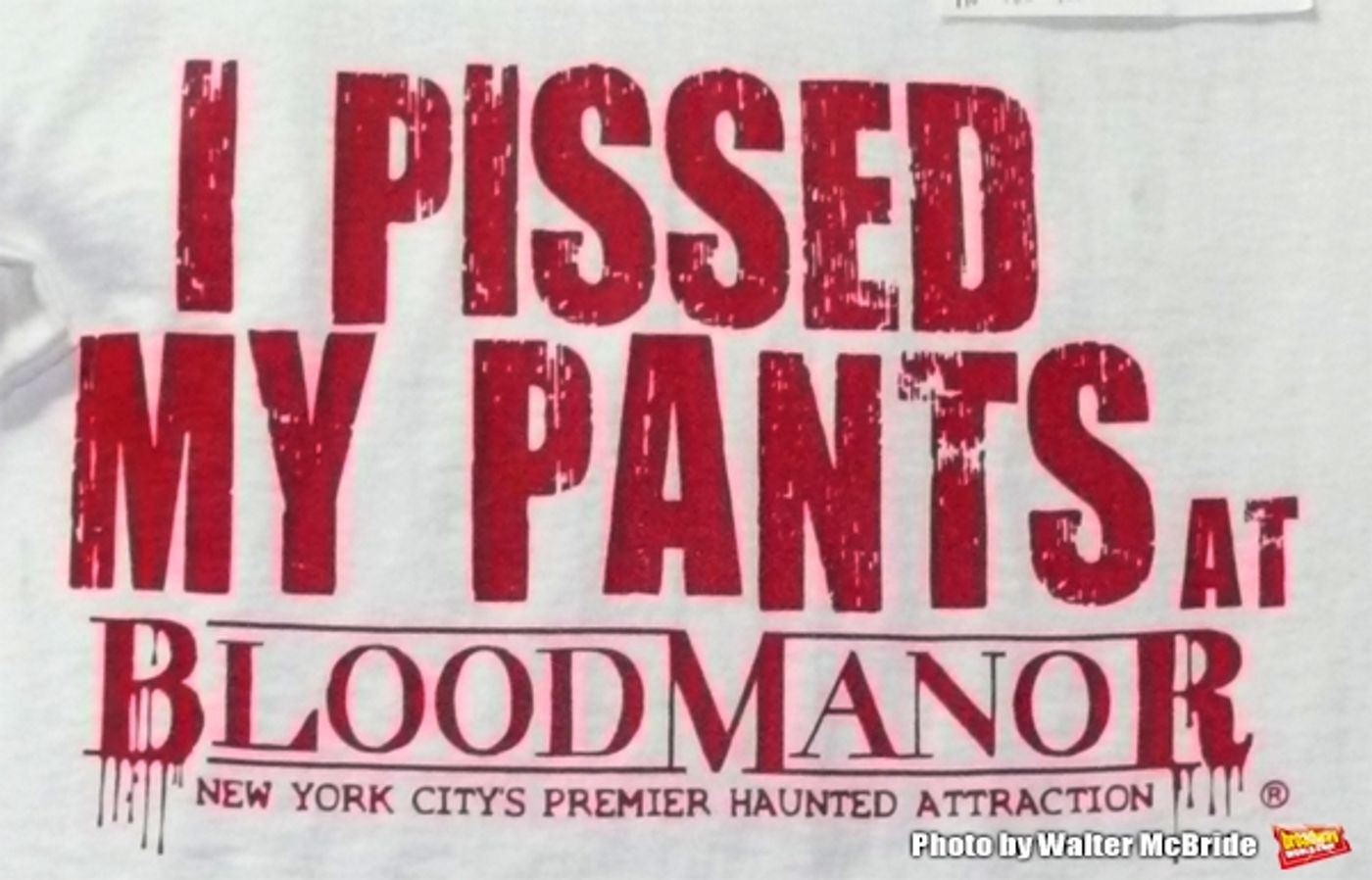 Photo Coverage: Meet the cast from BLOOD MANOR  Image