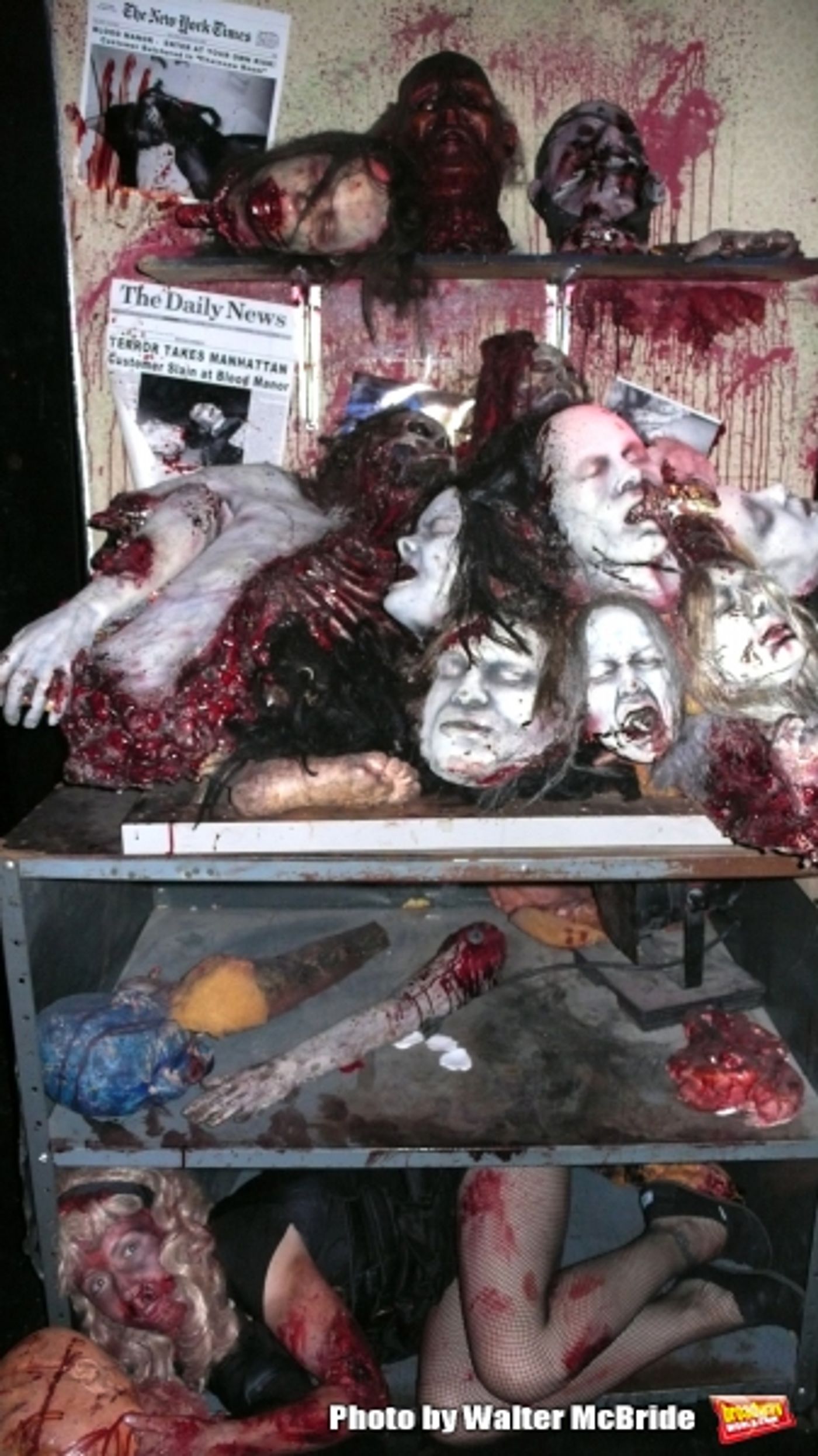 Photo Coverage: Meet the cast from BLOOD MANOR  Image