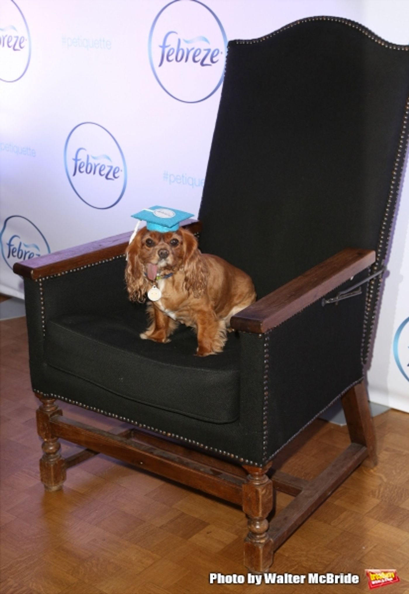 Photo Coverage: Rumer Willis Attends the Febreze School Of #Petiquette  Image