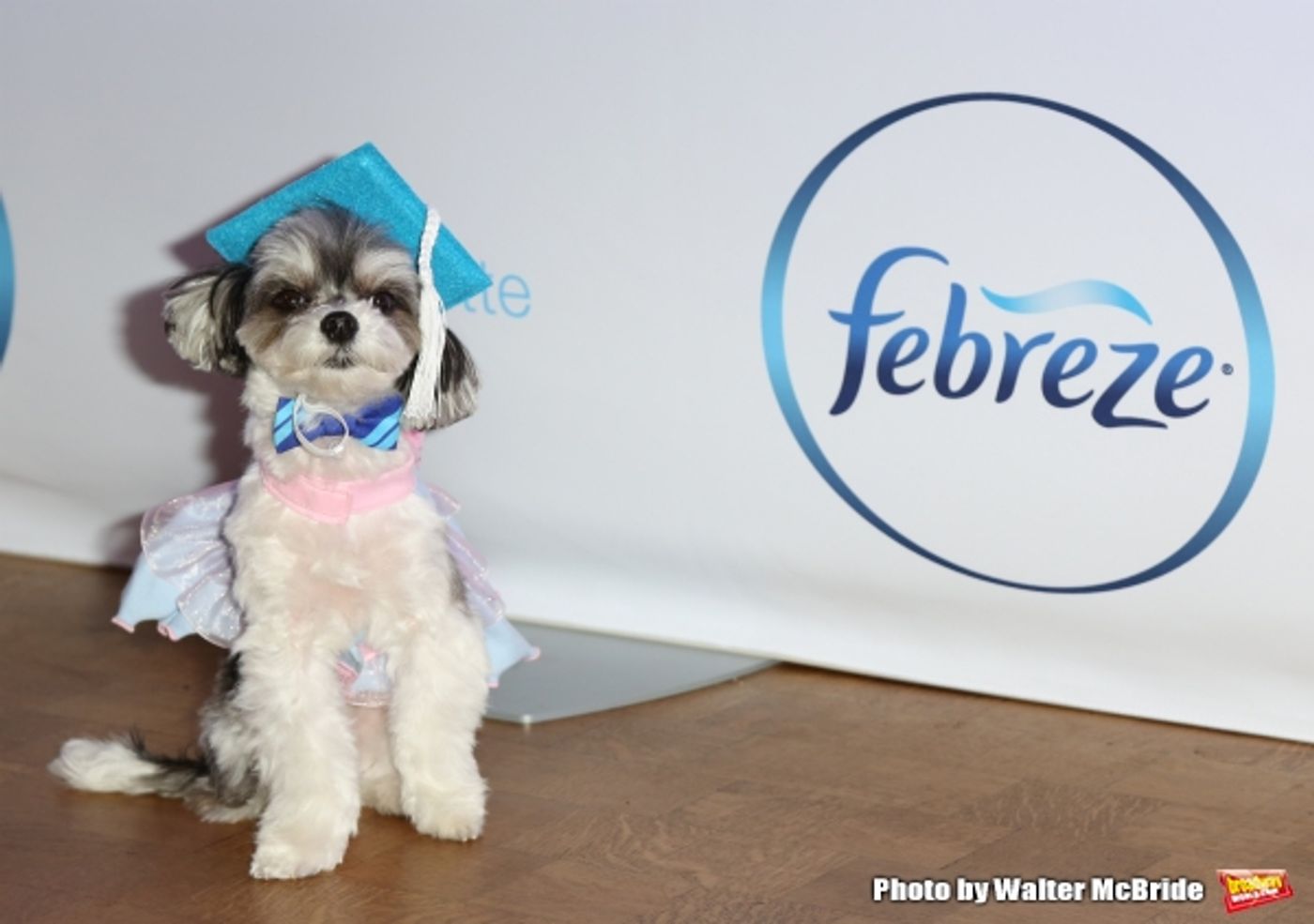 Photo Coverage: Rumer Willis Attends the Febreze School Of #Petiquette  Image