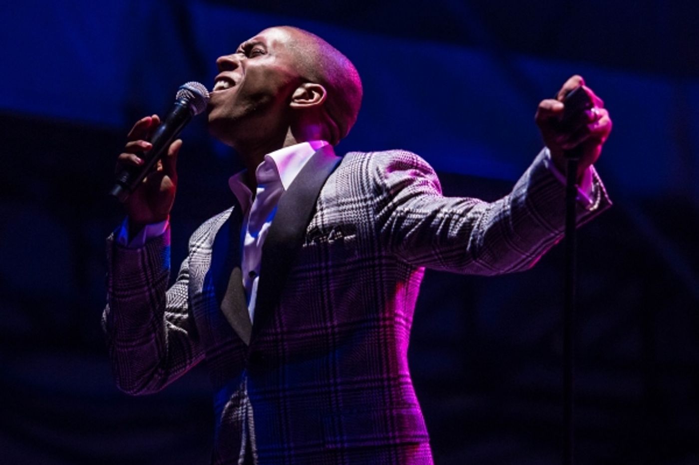 Photo Flash: NYC Rocks Out to Showtunes at the First Annual Elsie Fest- with Criss, Salonga, Tveit, Osnes & More!  Image