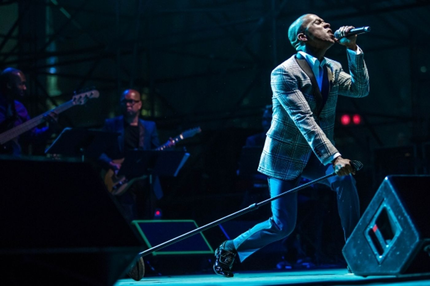 Photo Flash: NYC Rocks Out to Showtunes at the First Annual Elsie Fest- with Criss, Salonga, Tveit, Osnes & More!  Image