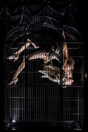 Allison Ulrich Photo