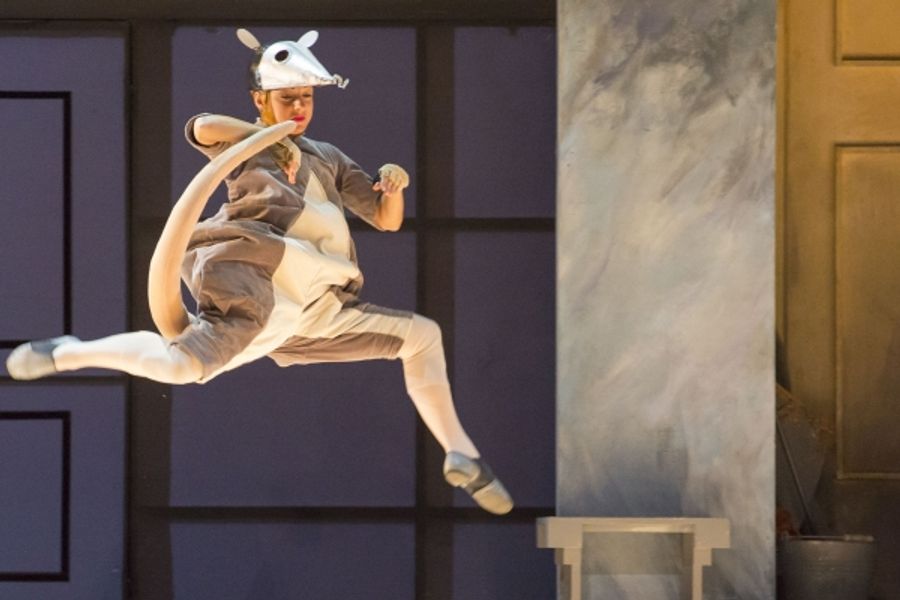 Photo Flash: First Look at Isabel Leonard, Lawrence Brownlee & More in Lyric Opera's CINDERELLA Image