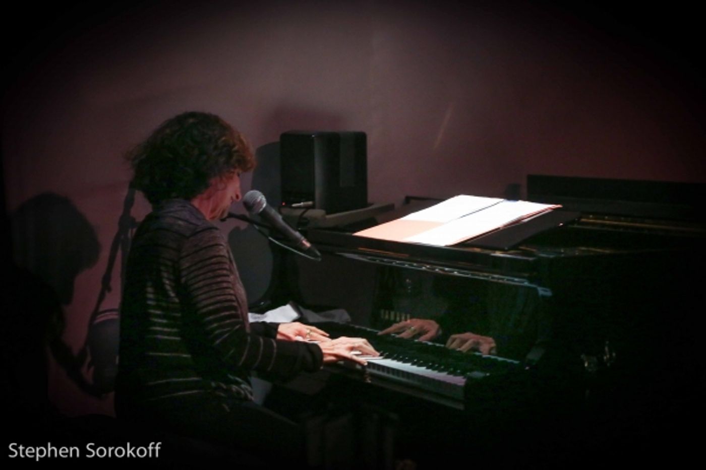 Photo Coverage: Michele Brourman Brings LOVE & LET LOVE to the Metropolitan Room  Image