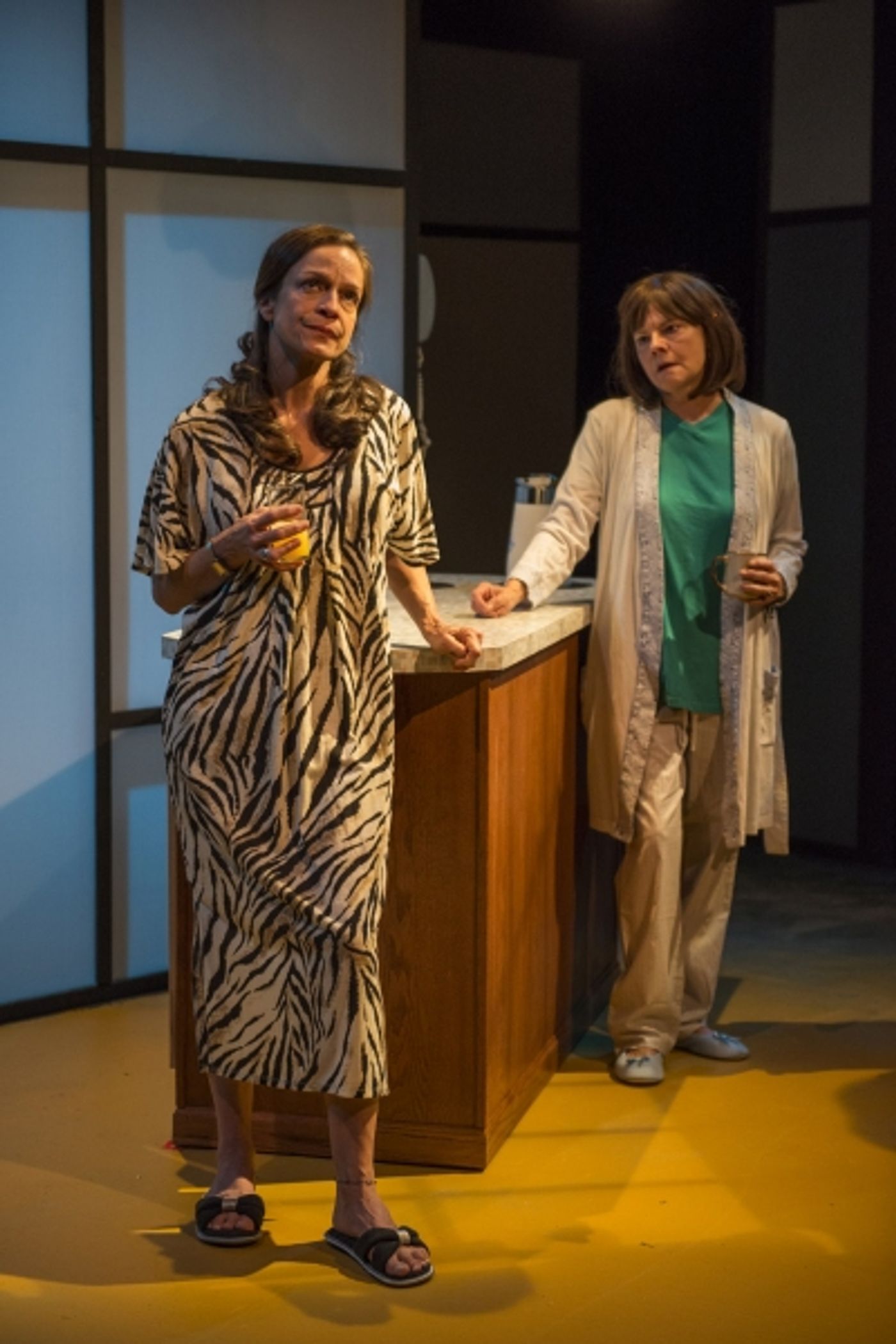 Photo Flash: Shattered Globe's MARVIN'S ROOM at Theater Wit - 25th Anniversary Production  Image