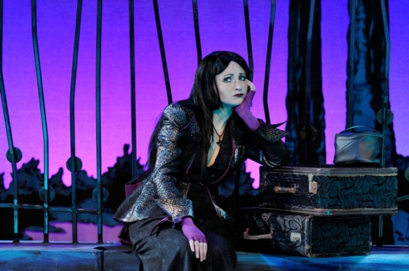 Photo Flash: First Look at Ocean State Theatre Company's THE ADDAMS FAMILY  Image
