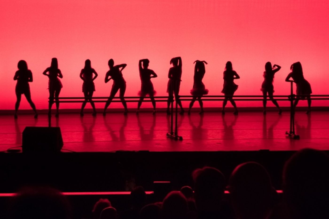 Photo Flash: National Asian Artists Project's PAST, PRESENT & FUTURE Gala Does DREAMGIRLS, THE KING AND I, LES MIS and More Image