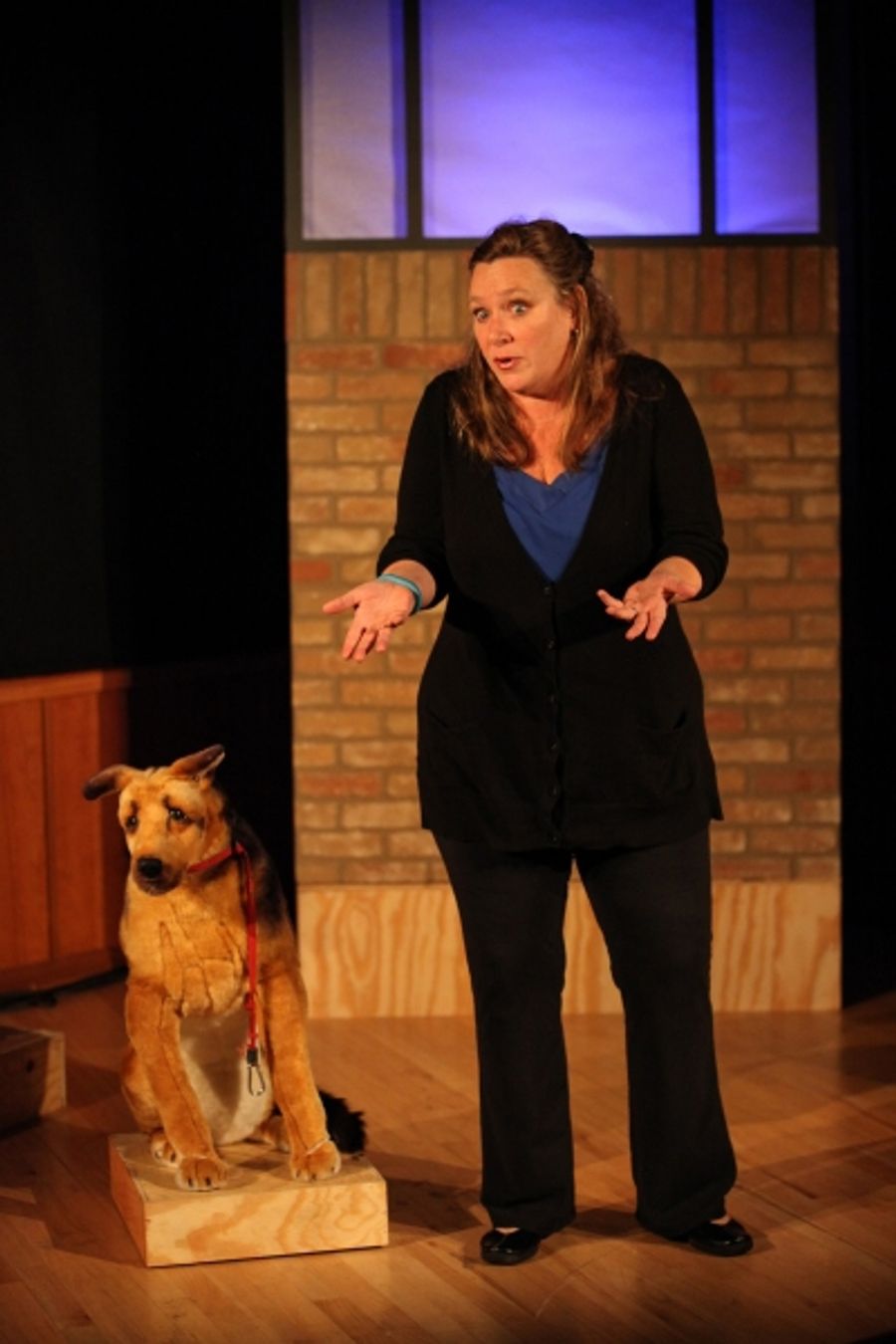 Photo Flash: First Look at Irish Theatre of Chicago's MY BRILLIANT DIVORCE Image