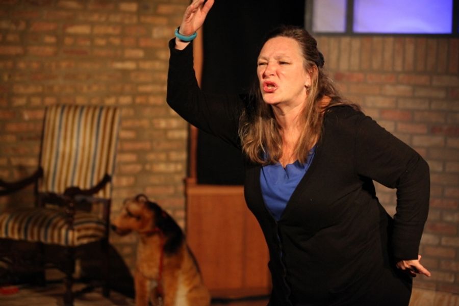 Photo Flash: First Look at Irish Theatre of Chicago's MY BRILLIANT DIVORCE Image