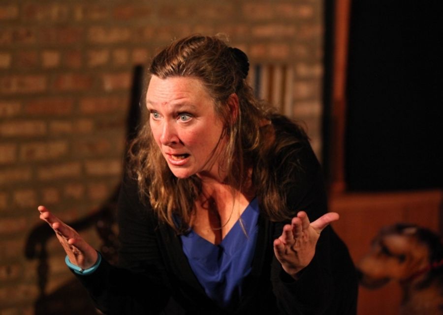 Photo Flash: First Look at Irish Theatre of Chicago's MY BRILLIANT DIVORCE Image