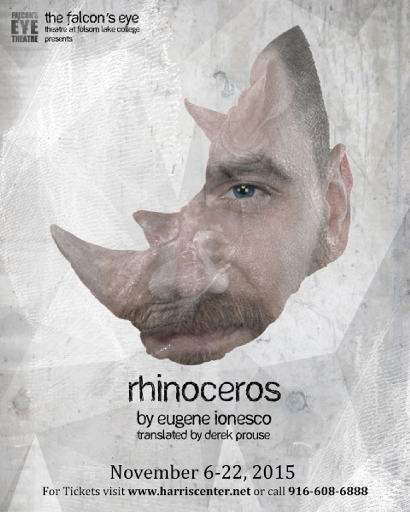 Photo Flash: Sneak Peek at The Falcon's Eye's RHINOCEROS at Folsom Lake College  Image