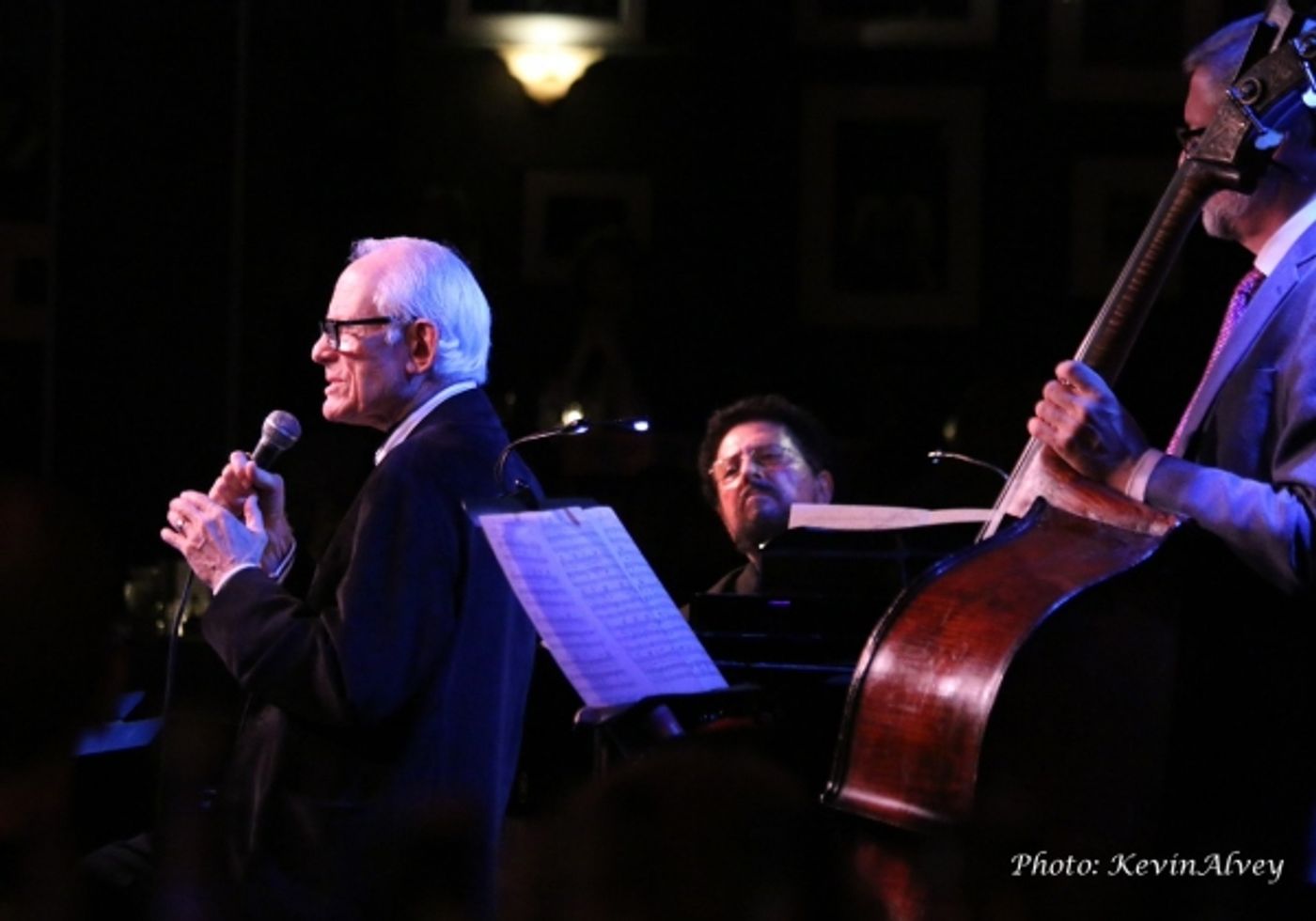 Photo Flash: Alan Bergman Sings 'LYRICALLY' at Broadway at Birdland  Image