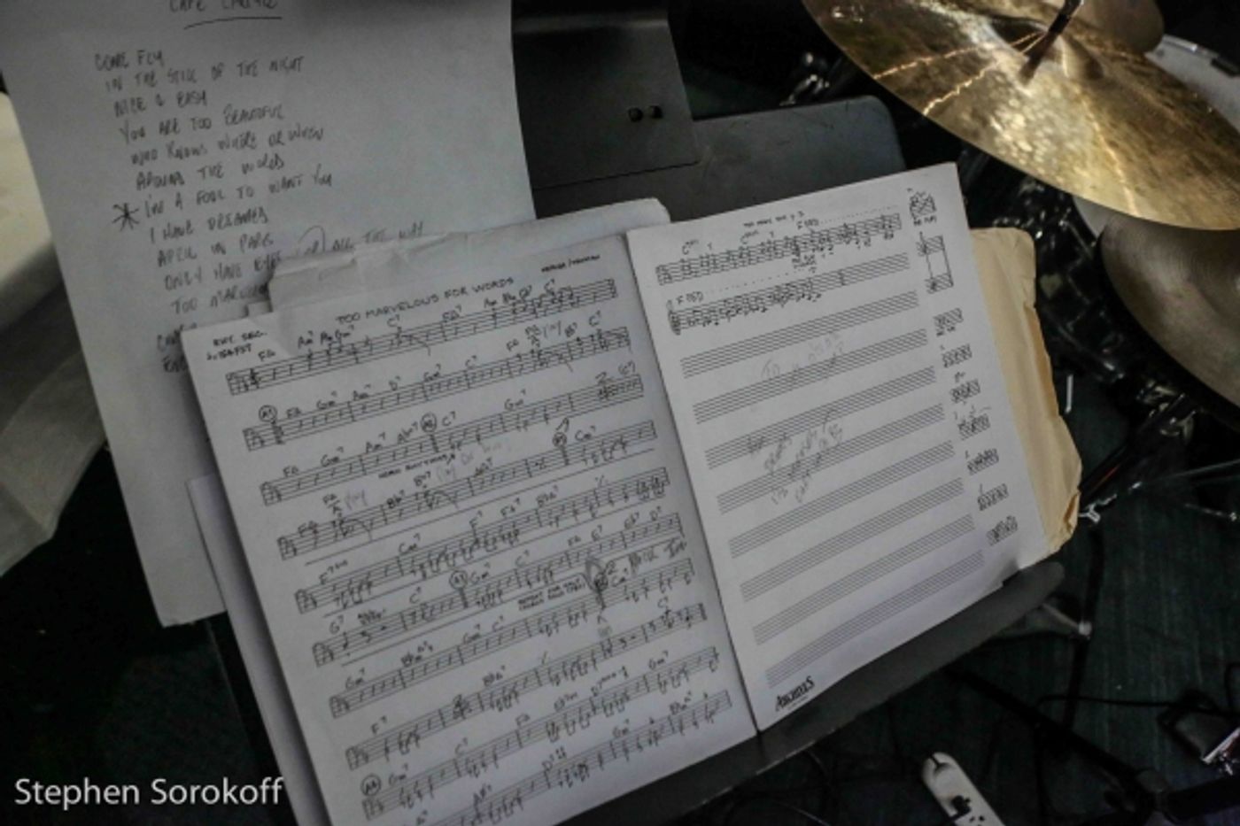 Photo Coverage: Kurt Elling Makes Cafe Carlyle Debut with ELLING SWINGS SINATRA  Image