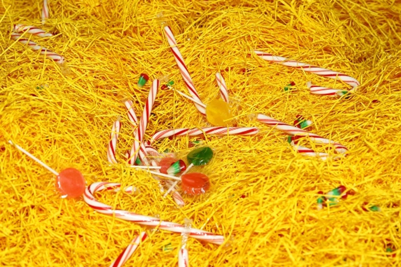 Photo Flash: ELF THE MUSICAL Hosts 'Snow Globe Challenge' at Madison Square Garden  Image