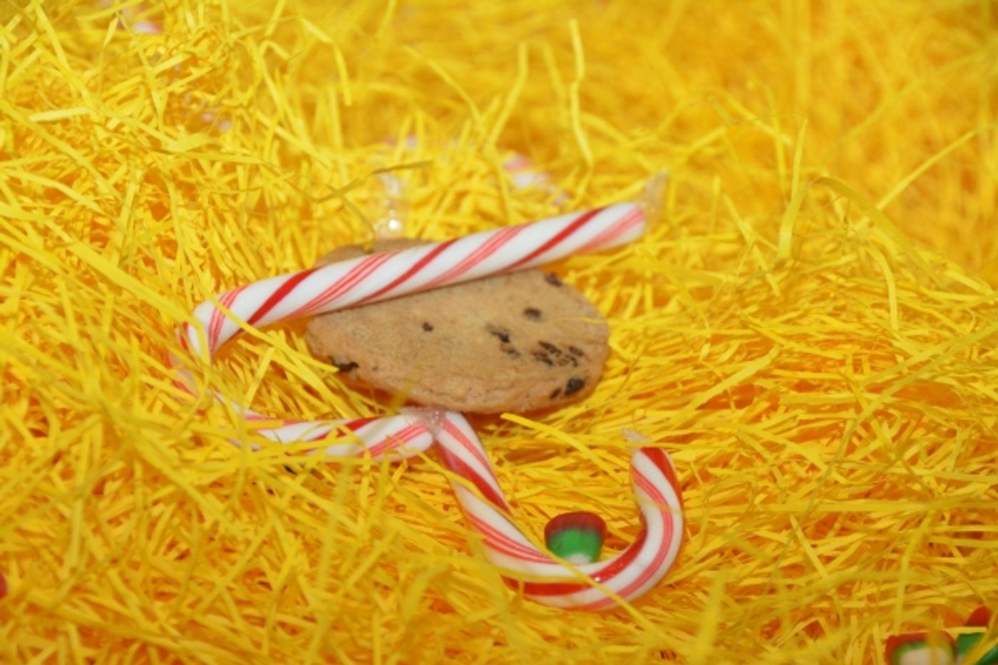 Photo Coverage: Dive Into The Holiday Season With ELF THE MUSICAL!  Image