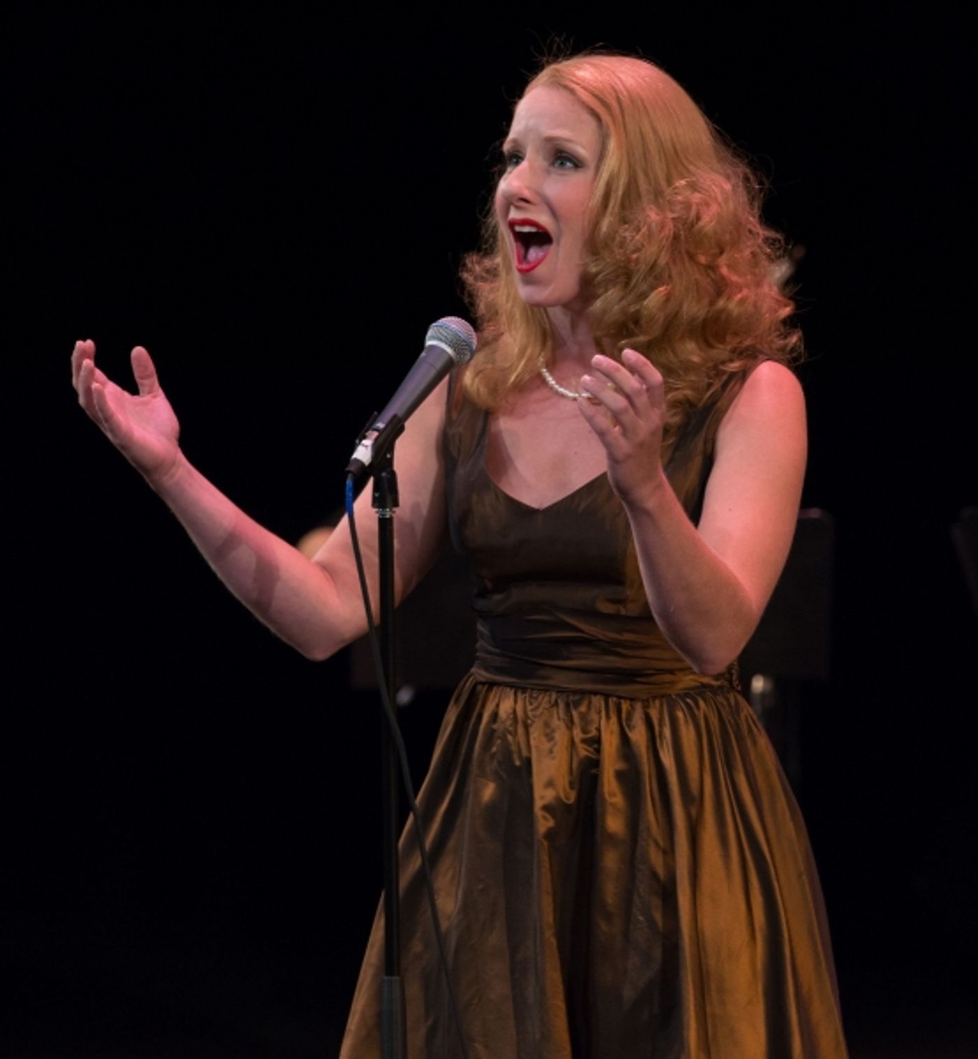Photo Flash: Damon Kirsche, Lee Roy Reams, Vivian Reed, Karen Ziemba and More in Fred Barton's 'AMERICAN SHOWSTOPPERS' Image