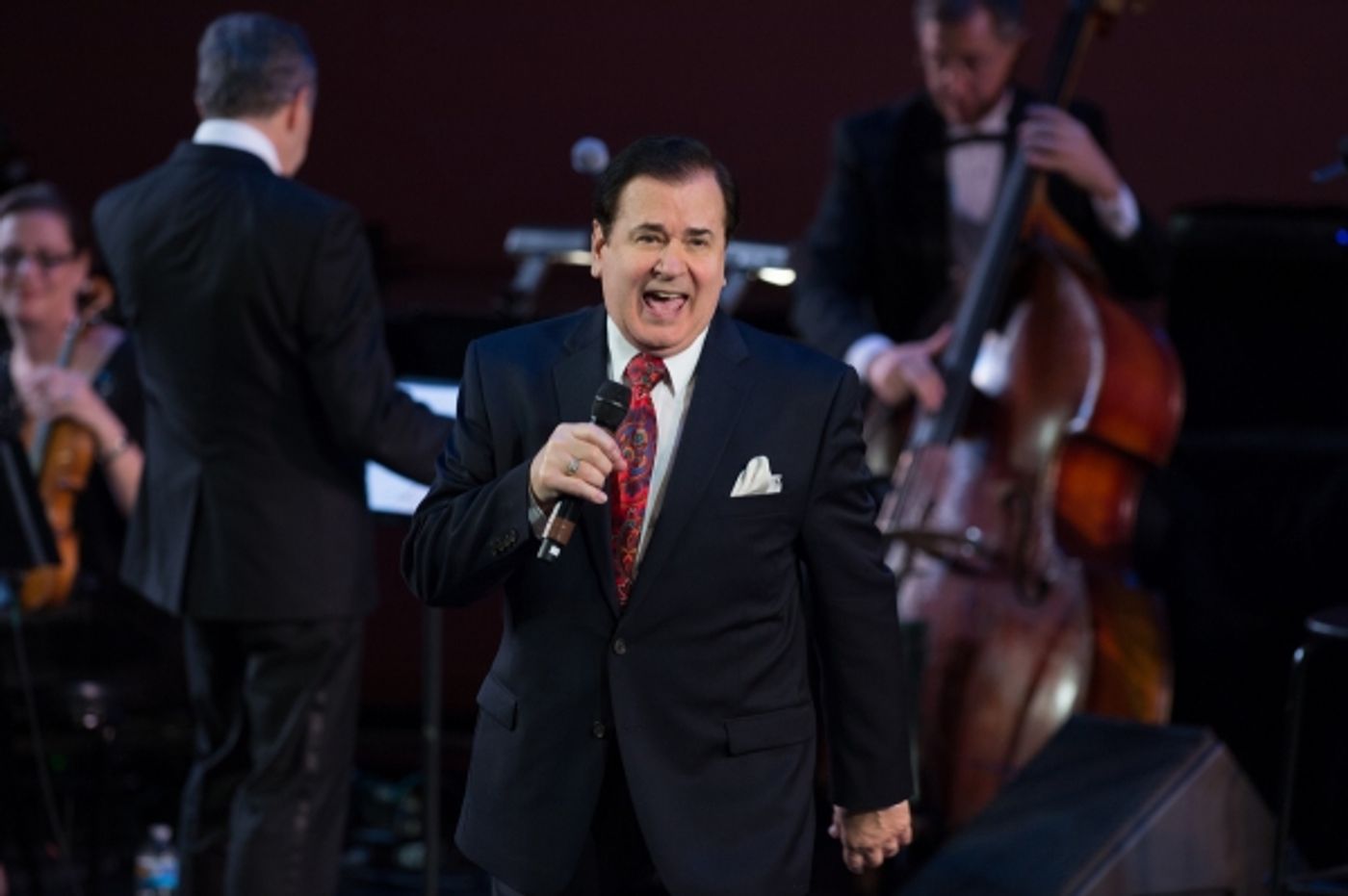 Photo Flash: Damon Kirsche, Lee Roy Reams, Vivian Reed, Karen Ziemba and More in Fred Barton's 'AMERICAN SHOWSTOPPERS' Image