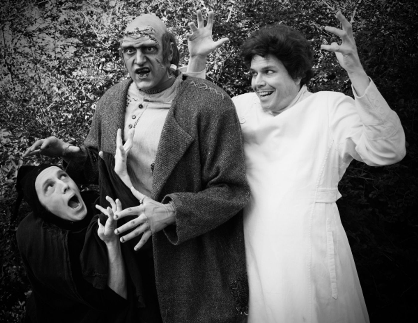 Photo Flash: Atlanta Lyric Theatre's YOUNG FRANKENSTEIN  Image