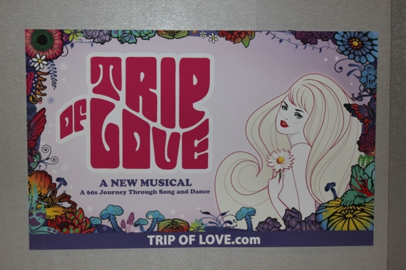 Photo Coverage: Go Inside Opening Night of New Dance Musical, TRIP OF LOVE!  Image
