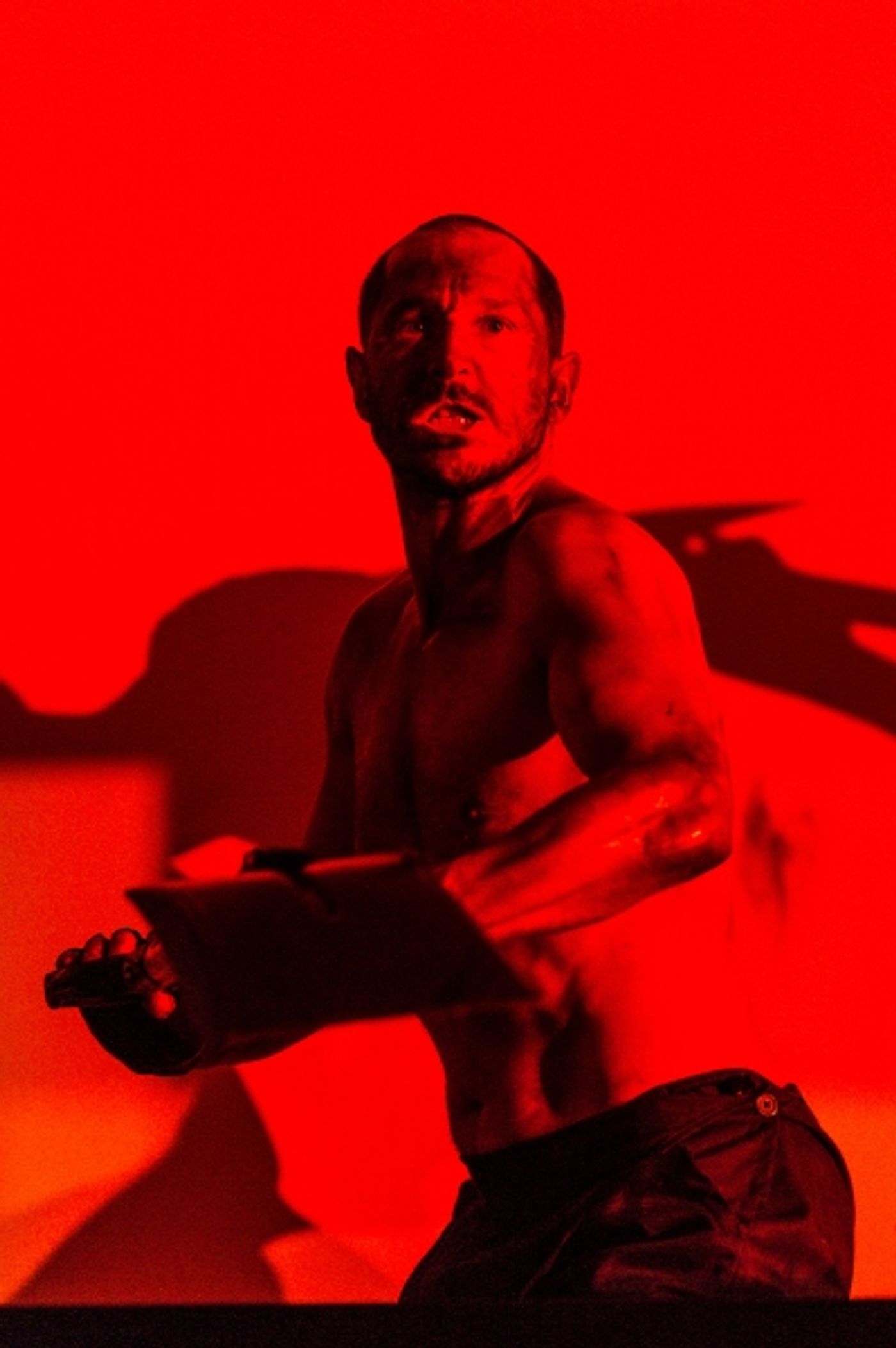 Photo Flash: THE HAIRY APE, Starring Bertie Carvel, Opens Tonight at The Old Vic  Image