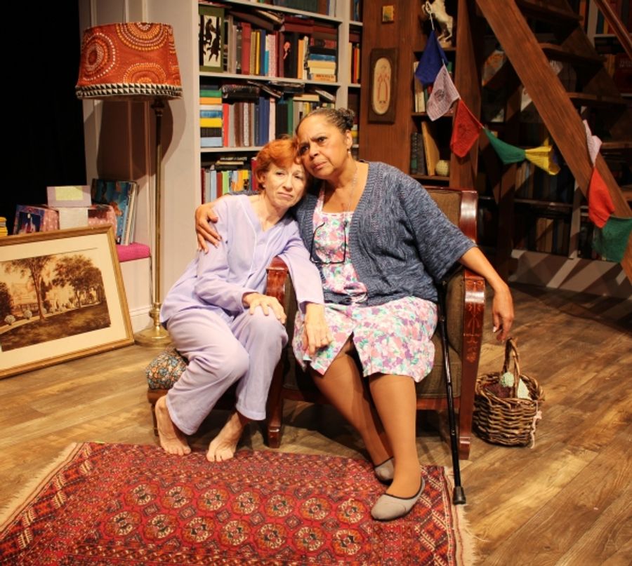 Photo Flash: First Look at Off-Broadway's THE HUMMINGBIRD'S TOUR Image