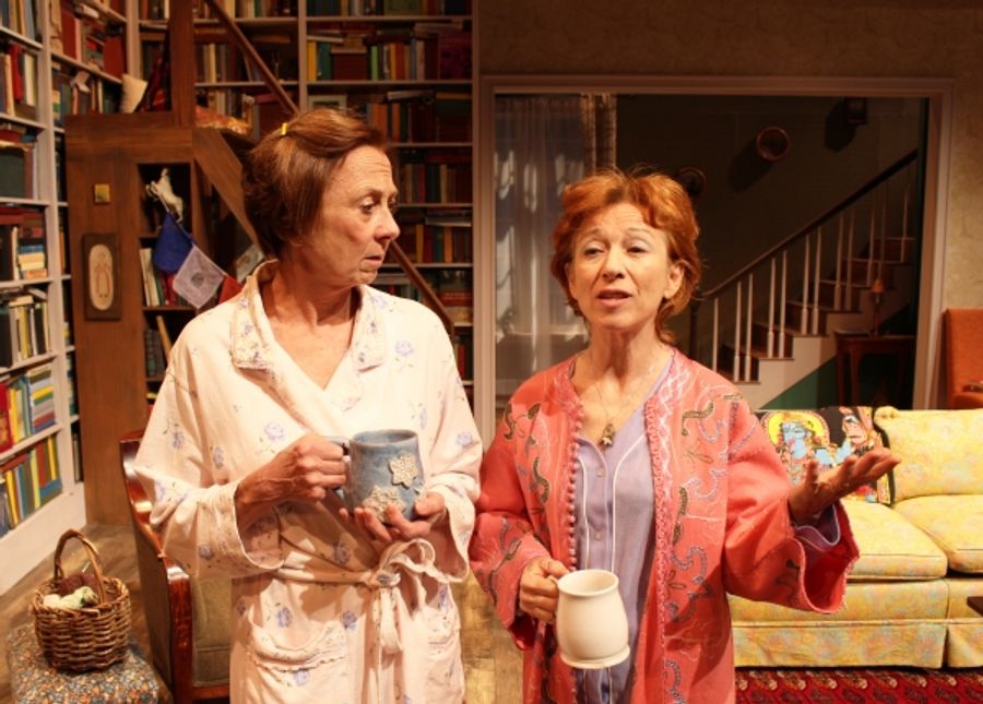 Photo Flash: First Look at Off-Broadway's THE HUMMINGBIRD'S TOUR Image
