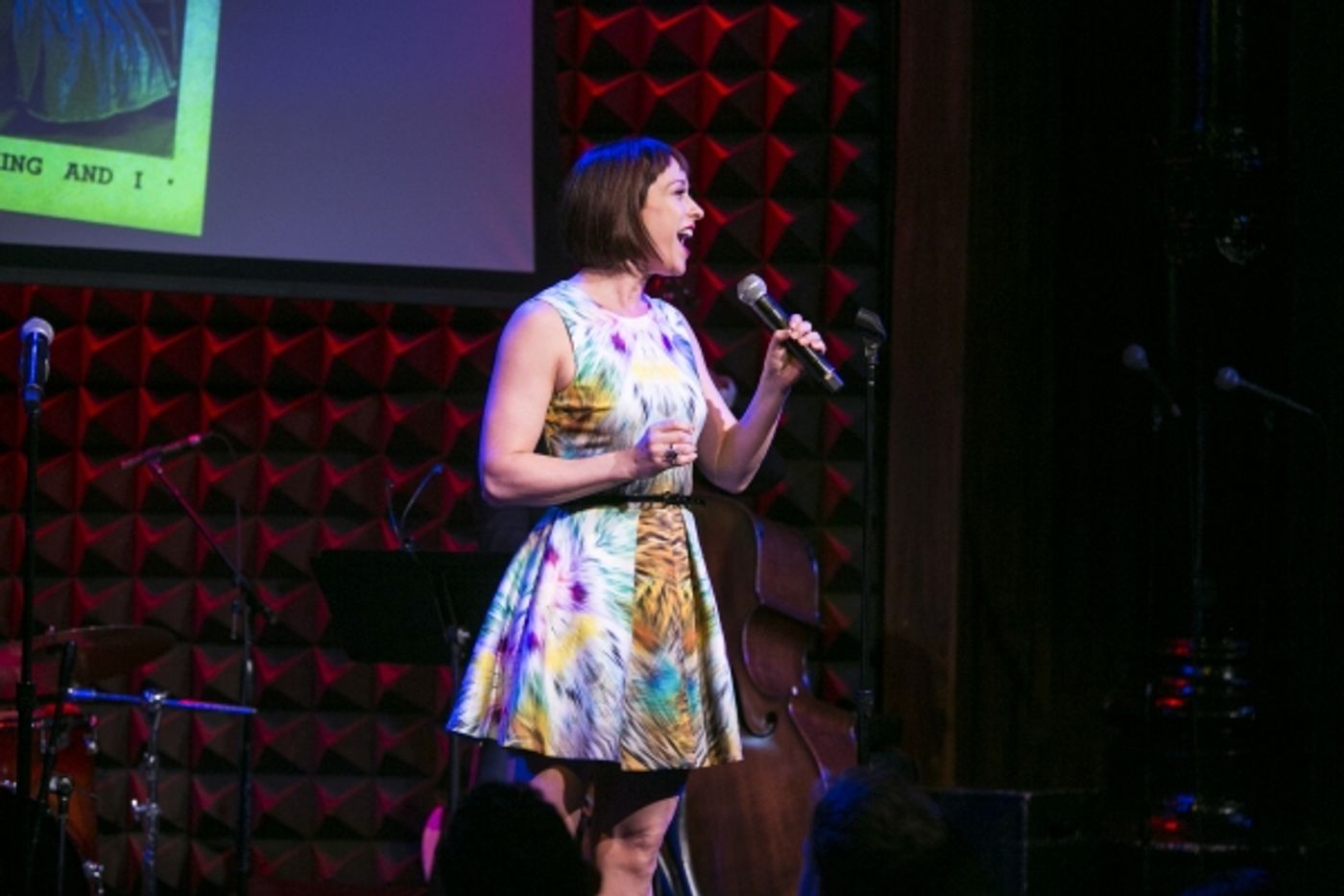 Photo Coverage: Nick Adams, Erin Davie & More Perform at 8th Annual LIVING FOR TODAY  Image