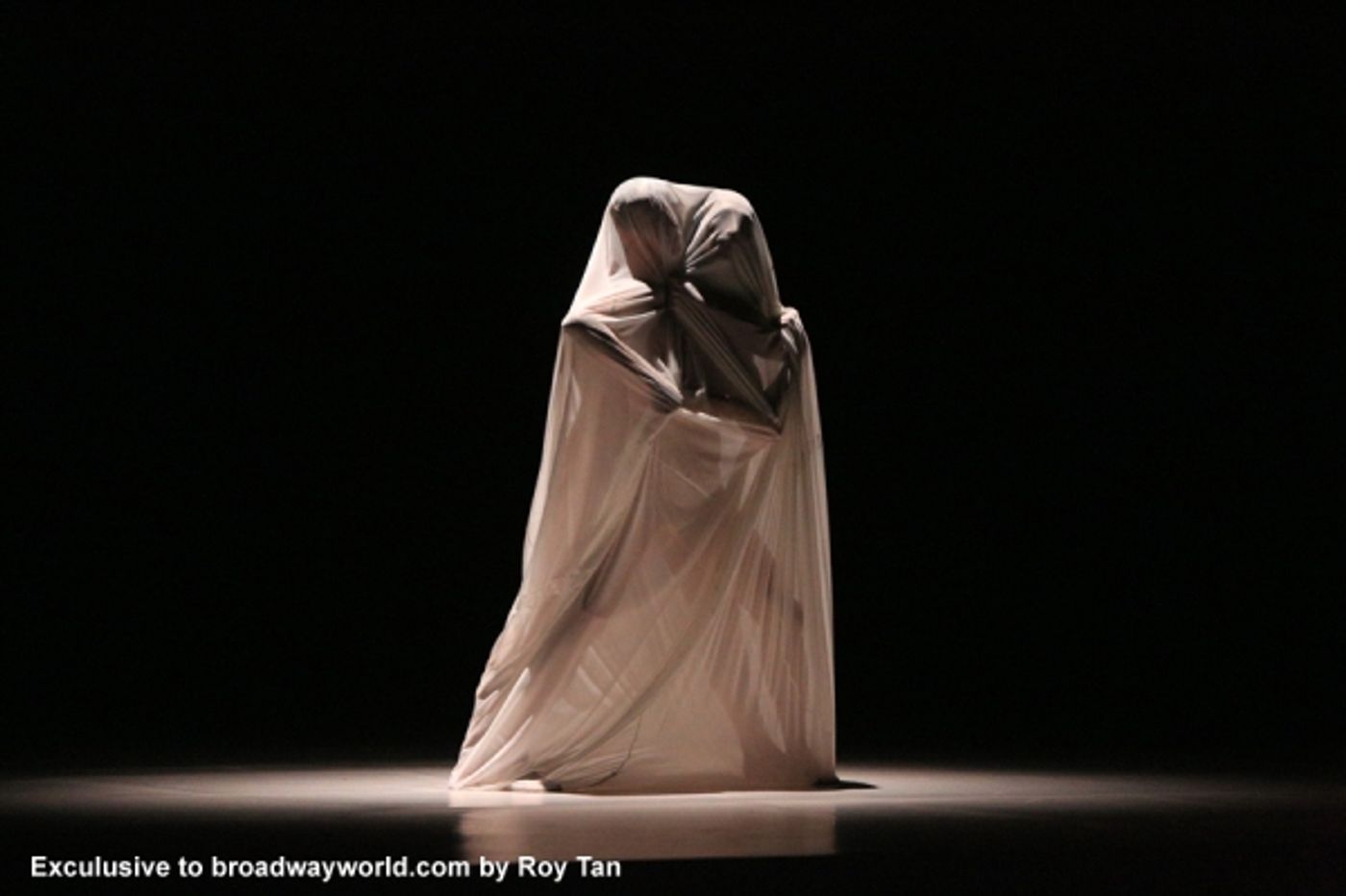 Photo Flash: First Look at Sadler's Well's HUSSEIN CHALAYAN  Image