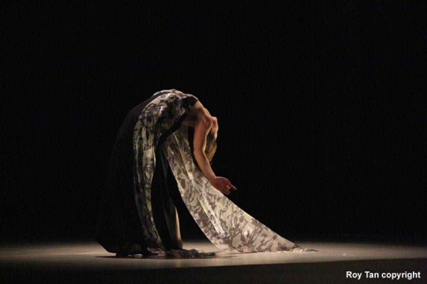 Photo Flash: First Look at Sadler's Well's HUSSEIN CHALAYAN  Image