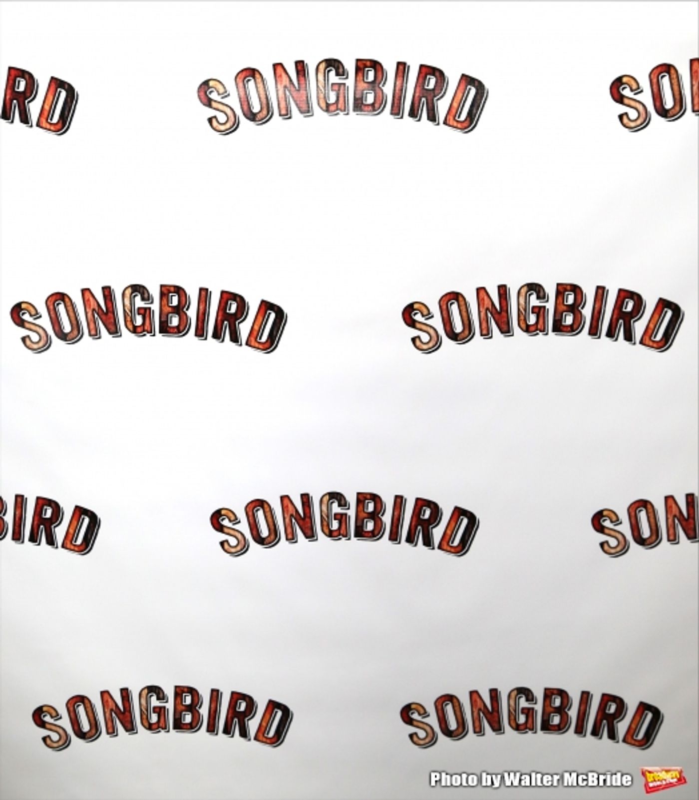 Photo Coverage: Inside SONGBIRD's Opening Night Party with Kate Baldwin, Kacie Sheik & More! Photo Coverage: Inside SONGBIRD's Opening Night Party with Kate Baldwin, Kacie Sheik & More! Image