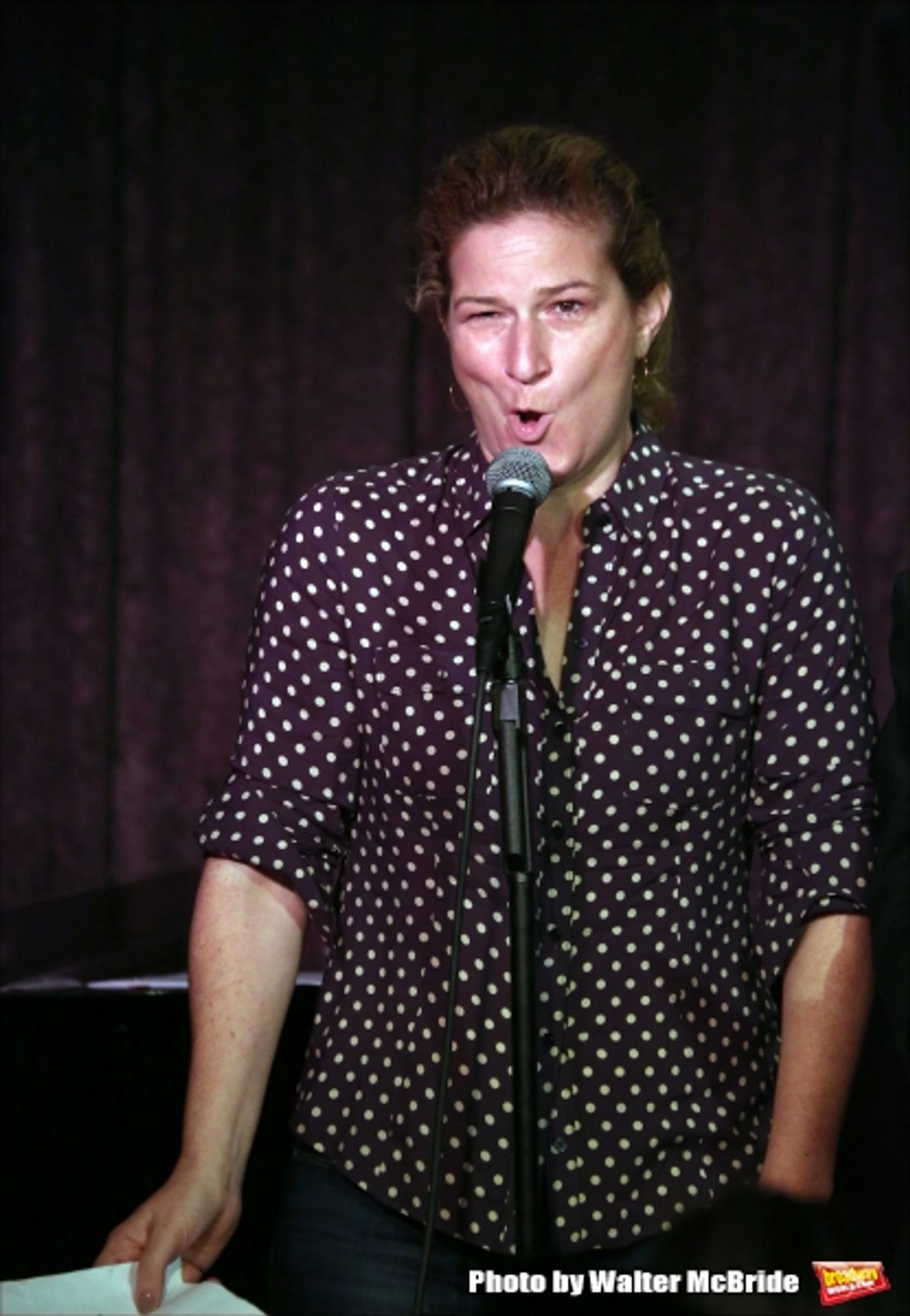 Photo Coverage: Jackie Hoffman, Stephanie J. Block, and More Perform for Release of SETH'S BROADWAY DIARY VOL. 2  Image